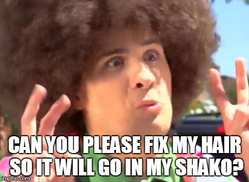 Sarcastic Anthony Meme | CAN YOU PLEASE FIX MY HAIR SO IT WILL GO IN MY SHAKO? | image tagged in memes,sarcastic anthony | made w/ Imgflip meme maker