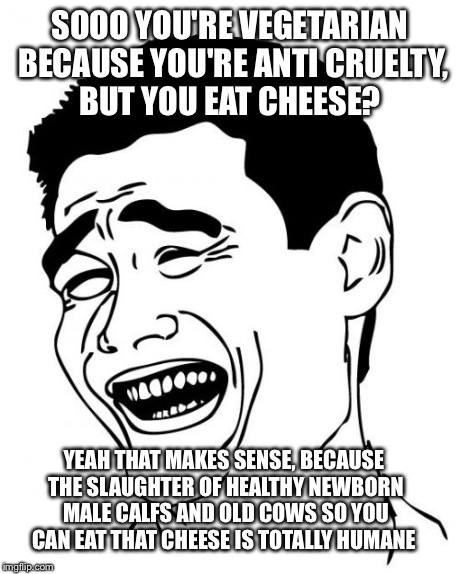 Yao Ming | SOOO YOU'RE VEGETARIAN BECAUSE YOU'RE ANTI CRUELTY, BUT YOU EAT CHEESE? YEAH THAT MAKES SENSE, BECAUSE THE SLAUGHTER OF HEALTHY NEWBORN MALE | image tagged in memes,yao ming | made w/ Imgflip meme maker