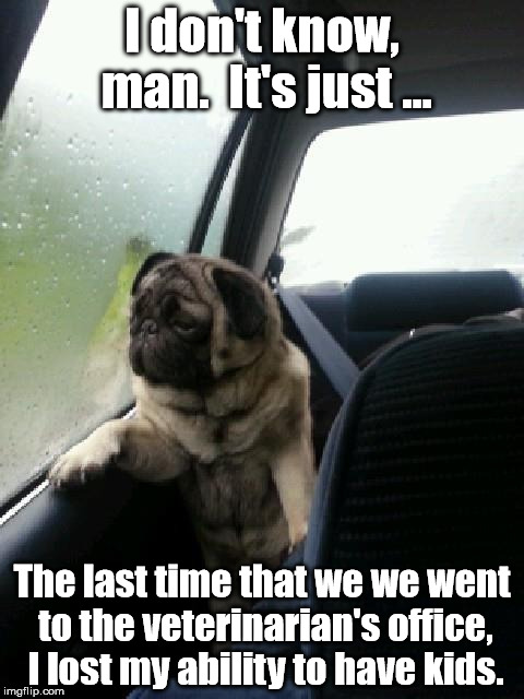 We're not going for ice cream, are we? | I don't know, man.  It's just ... The last time that we we went to the veterinarian's office, I lost my ability to have kids. | image tagged in introspective pug,memes,meme | made w/ Imgflip meme maker