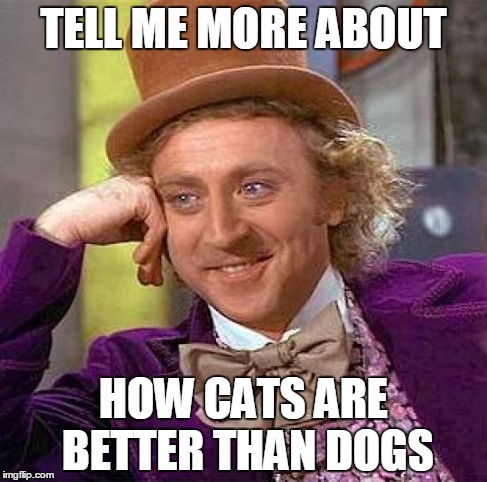okay.. | TELL ME MORE ABOUT HOW CATS ARE BETTER THAN DOGS | image tagged in memes,creepy condescending wonka,dogs,okay,fuck you,puppies | made w/ Imgflip meme maker