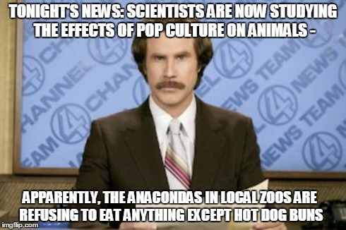 Ron Burgundy | TONIGHT'S NEWS: SCIENTISTS ARE NOW STUDYING THE EFFECTS OF POP CULTURE ON ANIMALS - APPARENTLY, THE ANACONDAS IN LOCAL ZOOS ARE REFUSING TO  | image tagged in memes,ron burgundy | made w/ Imgflip meme maker