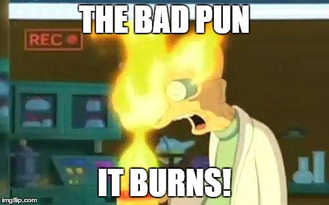 THE BAD PUN IT BURNS! | made w/ Imgflip meme maker