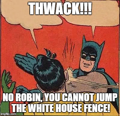 Batman Slapping Robin Meme | THWACK!!! NO ROBIN, YOU CANNOT JUMP THE WHITE HOUSE FENCE! | image tagged in memes,batman slapping robin | made w/ Imgflip meme maker