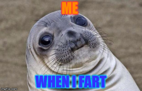Awkward Moment Sealion | ME WHEN I FART | image tagged in memes,awkward moment sealion | made w/ Imgflip meme maker