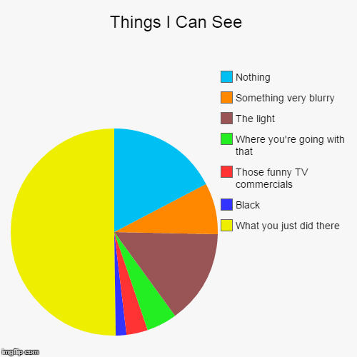 Things I Can See | What you just did there, Black, Those funny TV commercials, Where you're going with that, The light, Something very blurr | image tagged in funny,pie charts | made w/ Imgflip chart maker