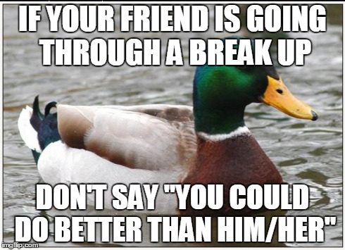 Actual Advice Mallard Meme | IF YOUR FRIEND IS GOING THROUGH A BREAK UP DON'T SAY "YOU COULD DO BETTER THAN HIM/HER" | image tagged in memes,actual advice mallard | made w/ Imgflip meme maker