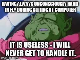 IDLE HAND BEHAVIOR
 | HAVING ALWAYS UNCONSCIOUSLY HAND IN FLY DURING SITTING AT COMPUTER IT IS USELESS - I WILL NEVER GET TO HANDLE IT. | image tagged in memes,super kami guru allows this,facepalm,hands,fly | made w/ Imgflip meme maker