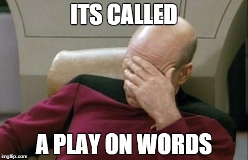 Captain Picard Facepalm Meme | ITS CALLED A PLAY ON WORDS | image tagged in memes,captain picard facepalm | made w/ Imgflip meme maker