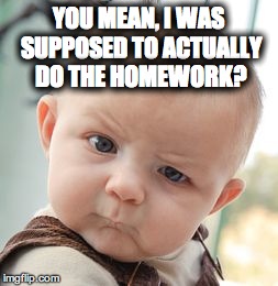 Skeptical Baby Meme | YOU MEAN, I WAS SUPPOSED TO ACTUALLY DO THE HOMEWORK? | image tagged in memes,skeptical baby | made w/ Imgflip meme maker
