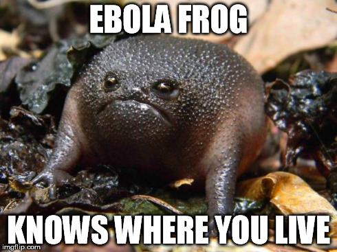 EBOLA FROG KNOWS WHERE YOU LIVE | image tagged in ebola frog | made w/ Imgflip meme maker