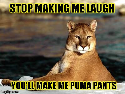 punny puma | STOP MAKING ME LAUGH YOU'LL MAKE ME PUMA PANTS | image tagged in punny puma | made w/ Imgflip meme maker