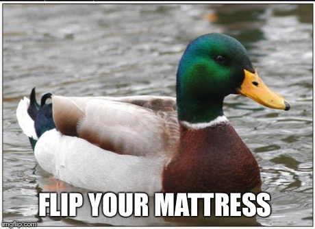 Actual Advice Mallard Meme | FLIP YOUR MATTRESS | image tagged in memes,actual advice mallard,AdviceAnimals | made w/ Imgflip meme maker