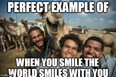 PERFECT EXAMPLE OF WHEN YOU SMILE THE WORLD SMILES WITH YOU | image tagged in happy camel meme | made w/ Imgflip meme maker