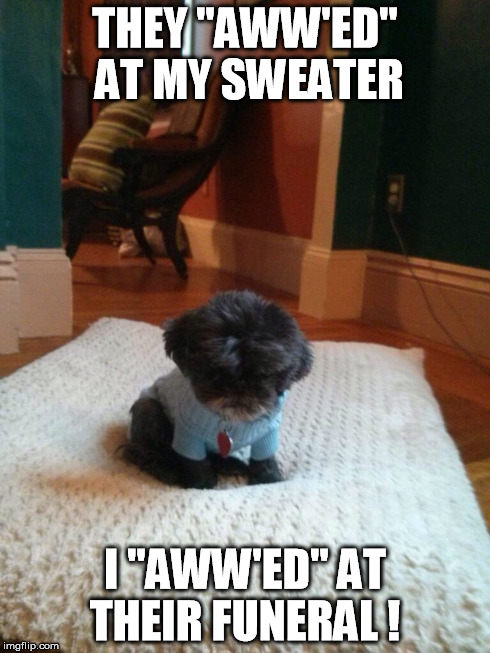 THEY "AWW'ED" AT MY SWEATER I "AWW'ED" AT THEIR FUNERAL ! | image tagged in AdviceAnimals | made w/ Imgflip meme maker