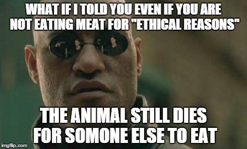 Matrix Morpheus | WHAT IF I TOLD YOU EVEN IF YOU ARE NOT EATING MEAT FOR "ETHICAL REASONS" THE ANIMAL STILL DIES FOR SOMONE ELSE TO EAT | image tagged in memes,matrix morpheus | made w/ Imgflip meme maker