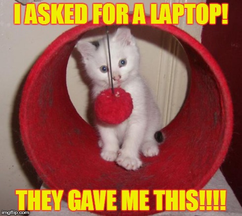 wtf is this | I ASKED FOR A LAPTOP! THEY GAVE ME THIS!!!! | image tagged in kittens | made w/ Imgflip meme maker