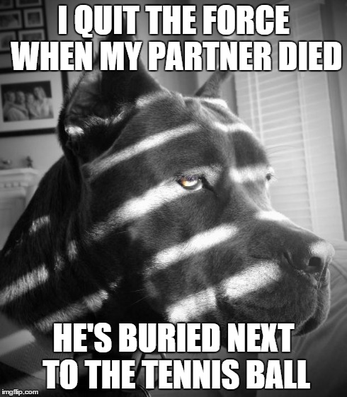 Noir Dog | I QUIT THE FORCE WHEN MY PARTNER DIED HE'S BURIED NEXT TO THE TENNIS BALL | image tagged in noir dog,AdviceAnimals | made w/ Imgflip meme maker