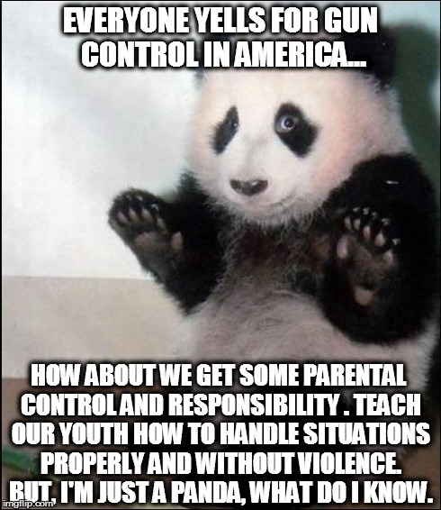 opinion bear | EVERYONE YELLS FOR GUN CONTROL IN AMERICA... HOW ABOUT WE GET SOME PARENTAL CONTROL AND RESPONSIBILITY . TEACH OUR YOUTH HOW TO HANDLE SITUA | image tagged in opinion bear,AdviceAnimals | made w/ Imgflip meme maker