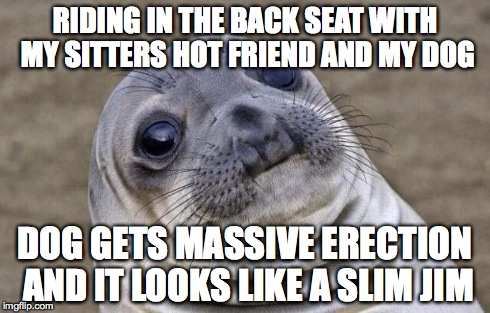 Awkward Moment Sealion Meme | RIDING IN THE BACK SEAT WITH MY SITTERS HOT FRIEND AND MY DOG DOG GETS MASSIVE ERECTION AND IT LOOKS LIKE A SLIM JIM | image tagged in memes,awkward moment sealion | made w/ Imgflip meme maker