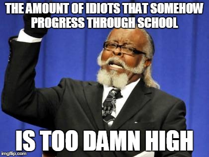 Too Damn High Meme | THE AMOUNT OF IDIOTS THAT SOMEHOW PROGRESS THROUGH SCHOOL IS TOO DAMN HIGH | image tagged in memes,too damn high | made w/ Imgflip meme maker