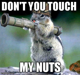 Bazooka Squirrel Meme | DON'T YOU TOUCH MY NUTS | image tagged in memes,bazooka squirrel | made w/ Imgflip meme maker
