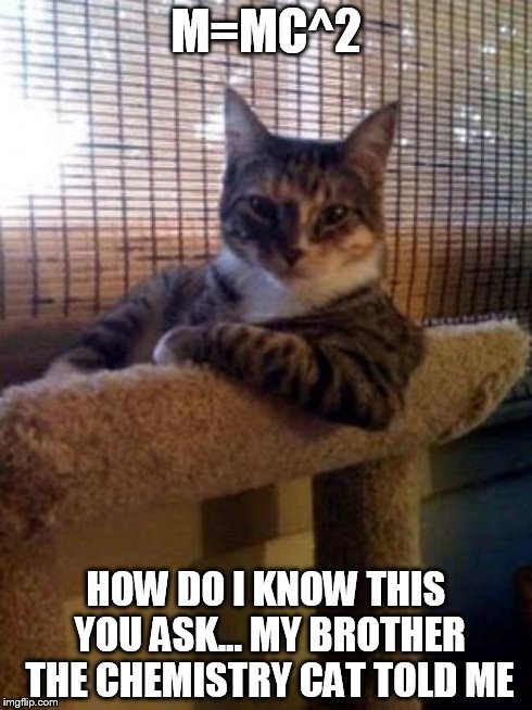 The Most Interesting Cat In The World | M=MC^2 HOW DO I KNOW THIS YOU ASK... MY BROTHER THE CHEMISTRY CAT TOLD ME | image tagged in memes,the most interesting cat in the world | made w/ Imgflip meme maker