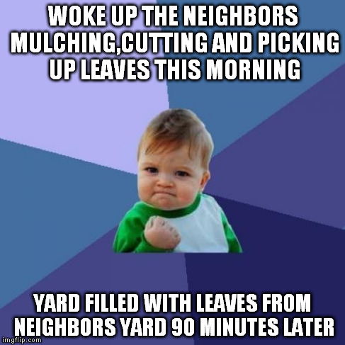 Success Kid Meme | WOKE UP THE NEIGHBORS MULCHING,CUTTING AND PICKING UP LEAVES THIS MORNING YARD FILLED WITH LEAVES FROM NEIGHBORS YARD 90 MINUTES LATER | image tagged in memes,success kid | made w/ Imgflip meme maker