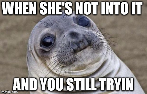 not into it | WHEN SHE'S NOT INTO IT AND YOU STILL TRYIN | image tagged in memes,awkward moment sealion | made w/ Imgflip meme maker