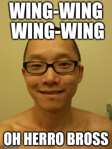WING-WING WING-WING OH HERRO BROSS | made w/ Imgflip meme maker