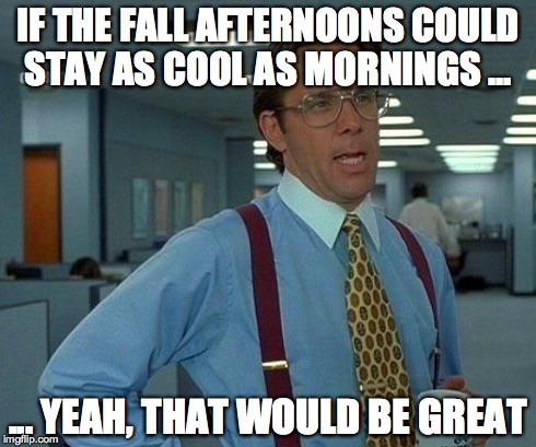 That Would Be Great | IF THE FALL AFTERNOONS COULD STAY AS COOL AS MORNINGS ... ... YEAH, THAT WOULD BE GREAT | image tagged in memes,that would be great | made w/ Imgflip meme maker