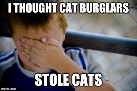 Confession Kid | I THOUGHT CAT BURGLARS STOLE CATS | image tagged in memes,confession kid,cats,funny | made w/ Imgflip meme maker