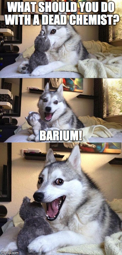 Bad Pun Dog Meme | WHAT SHOULD YOU DO WITH A DEAD CHEMIST? BARIUM! | image tagged in memes,bad pun dog | made w/ Imgflip meme maker