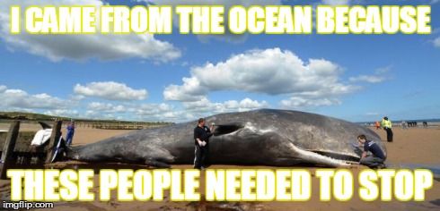 I CAME FROM THE OCEAN BECAUSE THESE PEOPLE NEEDED TO STOP | made w/ Imgflip meme maker