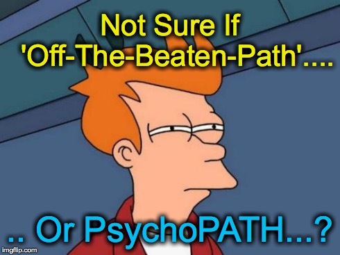Futurama Fry | Not Sure If  'Off-The-Beaten-Path'.... .. Or PsychoPATH...? | image tagged in memes,futurama fry | made w/ Imgflip meme maker