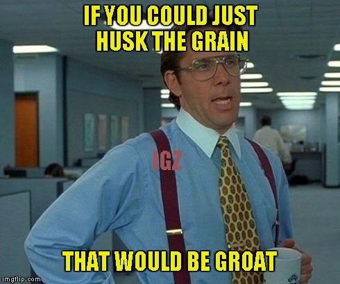 That Would Be Great Meme | IF YOU COULD JUST HUSK THE GRAIN THAT WOULD BE GROAT IGZ | image tagged in memes,that would be great | made w/ Imgflip meme maker