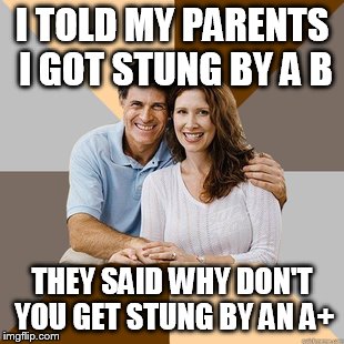 Scumbag Parents | I TOLD MY PARENTS I GOT STUNG BY A B THEY SAID WHY DON'T YOU GET STUNG BY AN A+ | image tagged in scumbag parents | made w/ Imgflip meme maker