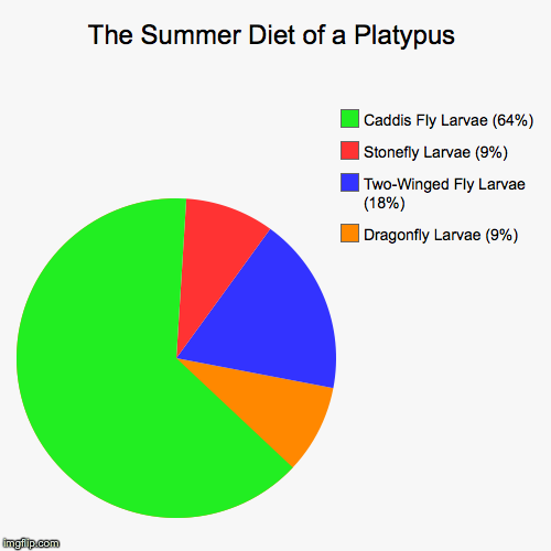 image tagged in funny,pie charts | made w/ Imgflip chart maker