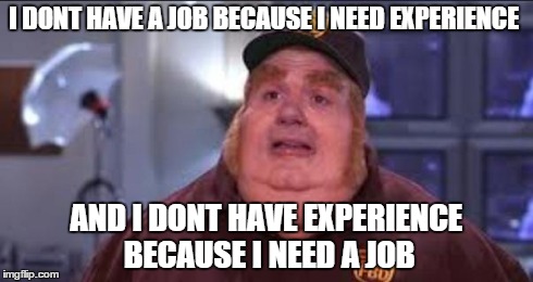 Fat Bastard | I DONT HAVE A JOB BECAUSE I NEED EXPERIENCE AND I DONT HAVE EXPERIENCE BECAUSE I NEED A JOB | image tagged in fat bastard | made w/ Imgflip meme maker