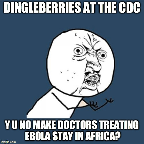 Y U No | DINGLEBERRIES AT THE CDC Y U NO MAKE DOCTORS TREATING EBOLA STAY IN AFRICA? | image tagged in memes,y u no | made w/ Imgflip meme maker