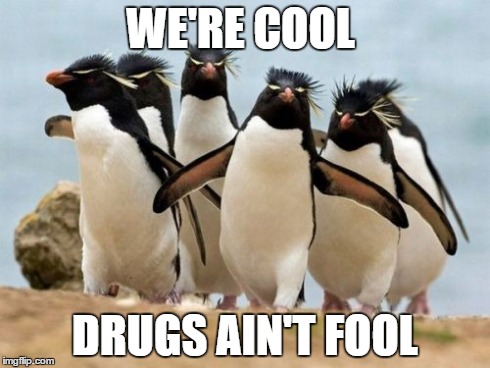 Penguin Gang | WE'RE COOL DRUGS AIN'T FOOL | image tagged in memes,penguin gang | made w/ Imgflip meme maker