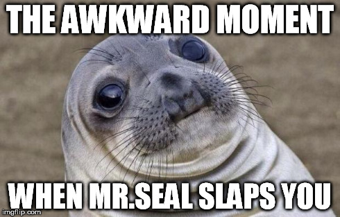 Mr.Seal slaps you | THE AWKWARD MOMENT WHEN MR.SEAL SLAPS YOU | image tagged in memes,awkward moment sealion | made w/ Imgflip meme maker