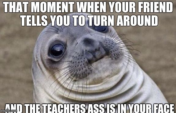 Awkward Moment Sealion Meme | THAT MOMENT WHEN YOUR FRIEND TELLS YOU TO TURN AROUND AND THE TEACHERS ASS IS IN YOUR FACE | image tagged in memes,awkward moment sealion | made w/ Imgflip meme maker