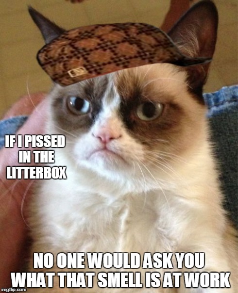 Grumpy Cat | IF I PISSED IN THE LITTERBOX NO ONE WOULD ASK YOU WHAT THAT SMELL IS AT WORK | image tagged in memes,grumpy cat,scumbag | made w/ Imgflip meme maker