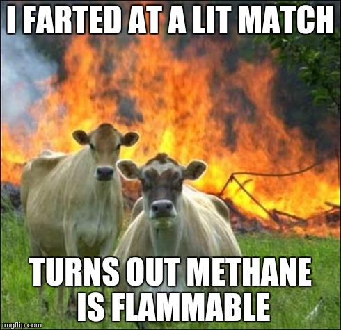 Evil Cows Meme | I FARTED AT A LIT MATCH TURNS OUT METHANE IS FLAMMABLE | image tagged in memes,evil cows | made w/ Imgflip meme maker