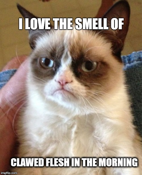 Grumpy Cat | I LOVE THE SMELL OF CLAWED FLESH IN THE MORNING | image tagged in memes,grumpy cat | made w/ Imgflip meme maker