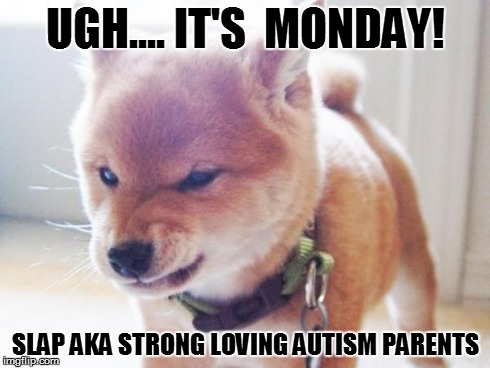monday face | UGH.... IT'S  MONDAY! SLAP AKA STRONG LOVING AUTISM PARENTS | image tagged in monday face | made w/ Imgflip meme maker