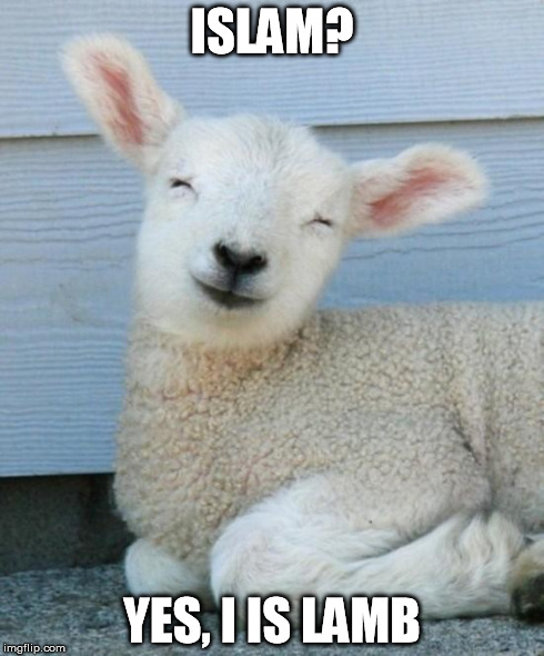 I Is Lamb | ISLAM? YES, I IS LAMB | image tagged in i is lamb | made w/ Imgflip meme maker