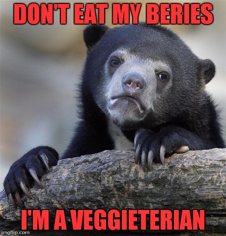 Confession Bear Meme | DON'T EAT MY BERIES I'M A VEGGIETERIAN | image tagged in memes,confession bear | made w/ Imgflip meme maker