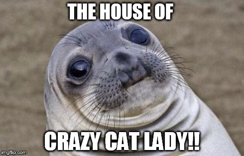 Awkward Moment Sealion Meme | THE HOUSE OF CRAZY CAT LADY!! | image tagged in memes,awkward moment sealion | made w/ Imgflip meme maker