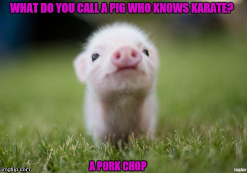 piglet | WHAT DO YOU CALL A PIG WHO KNOWS KARATE? A PORK CHOP | image tagged in piglet | made w/ Imgflip meme maker